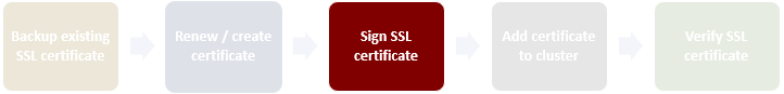 Sign SSL certificate