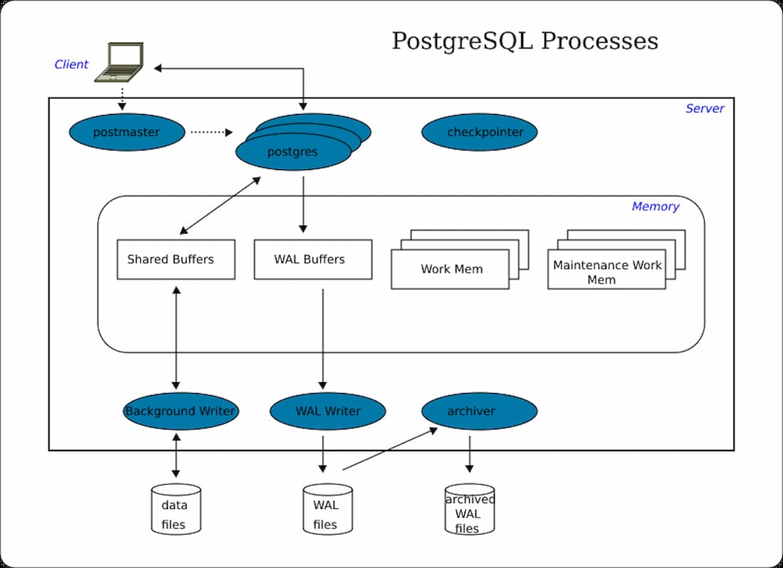 The PostgreSQL architecture diagram, showing the text below a hierarchy of blue PostgreSQL processes, outlined in black.