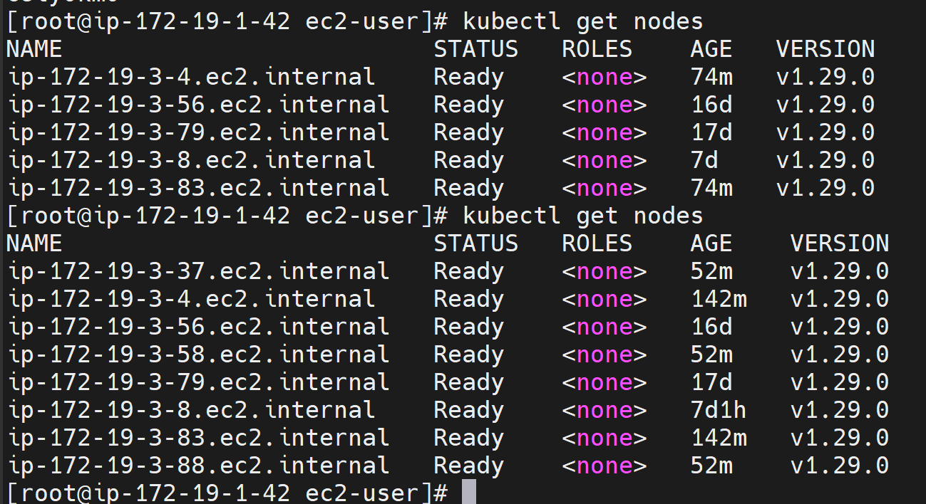 Image shows EKS worker nodes list from AWS admin VM. Here 2 image has been combined which shows the EKS worker node before and after node group expansion.