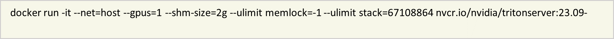 This image shows the exact command that configures the container with GPU support and necessary system settings.