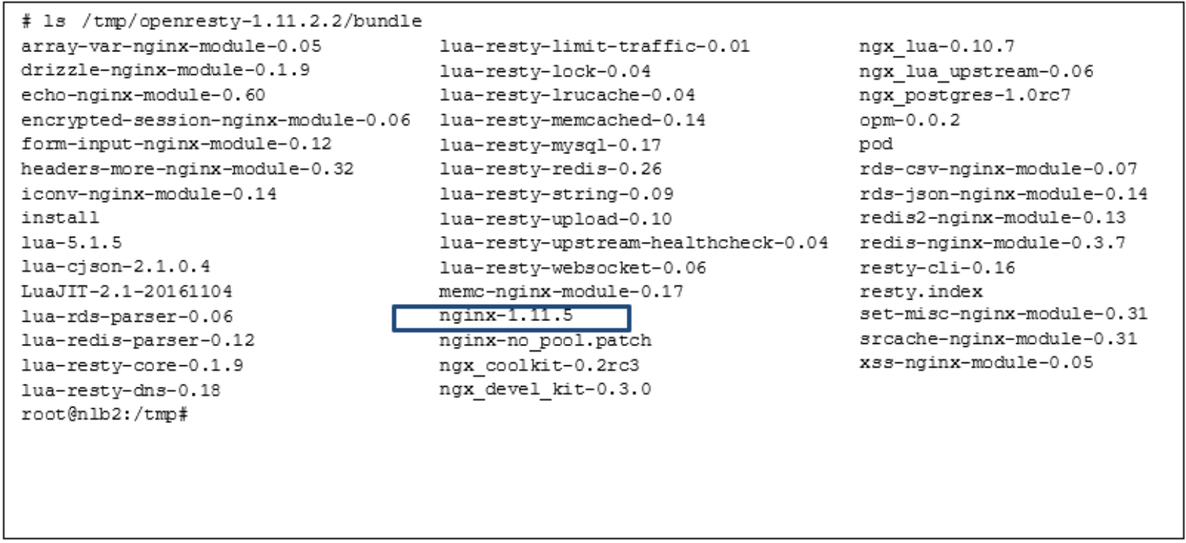 This is an example of an OpenResty Bundle with NGINX 1.11.5.