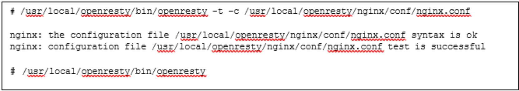 This is an example of the command to check nginx.conf and Start OpenResty