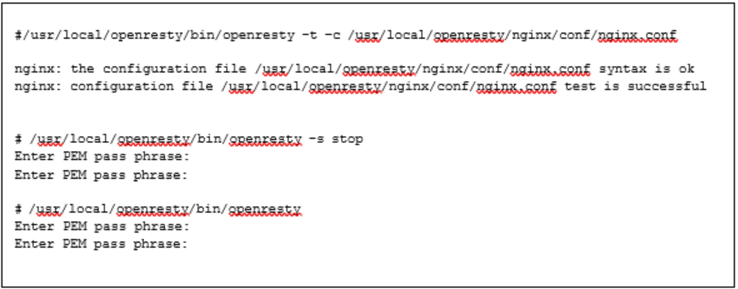 This is an example of Commands to Validate nginx.conf and Restart OpenResty