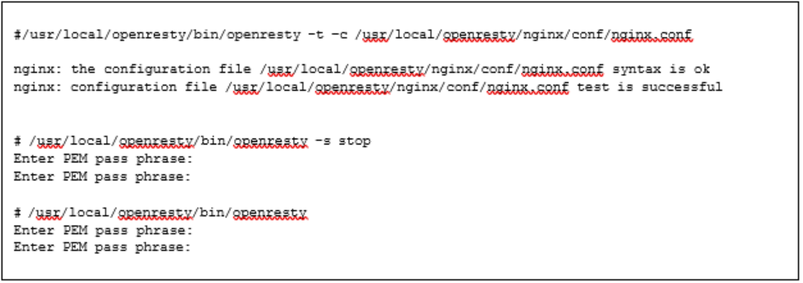 This is an example of validating the nginx.conf file and restarting OpenResty.
