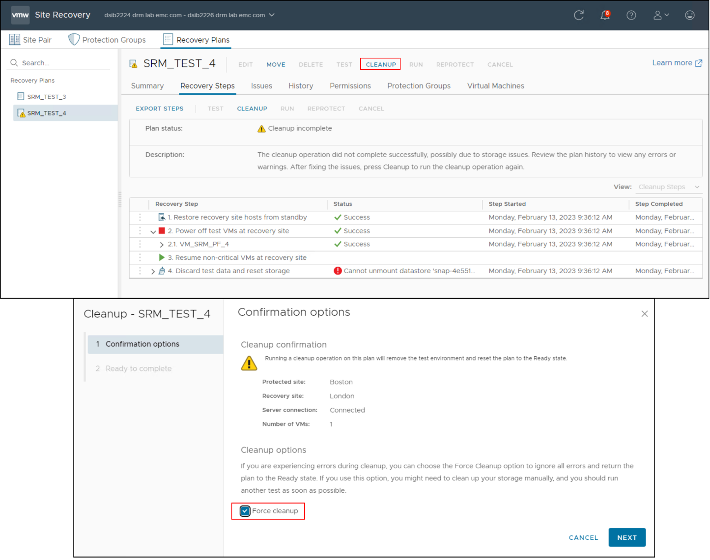 This image shows a screen capture of Performing a Cleanup operation with the force option in SRM.