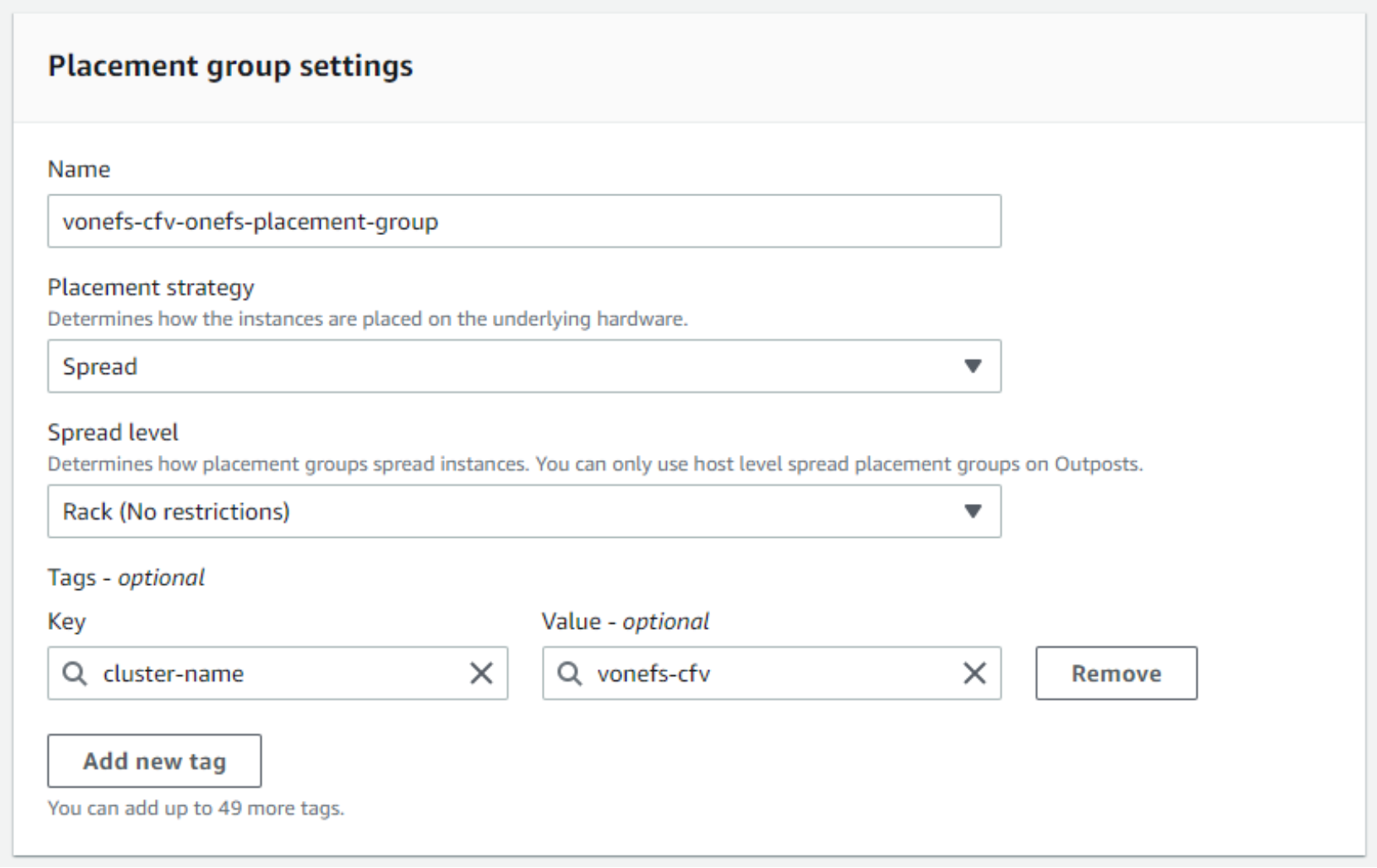 This figure shows the Placement group settings.