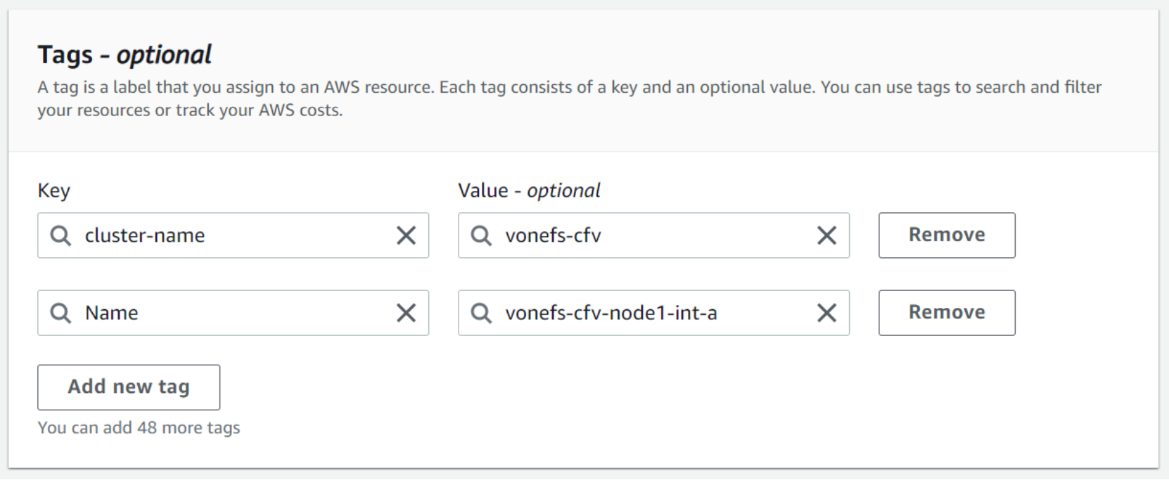 This figure shows the Tags for first node's internal interface.