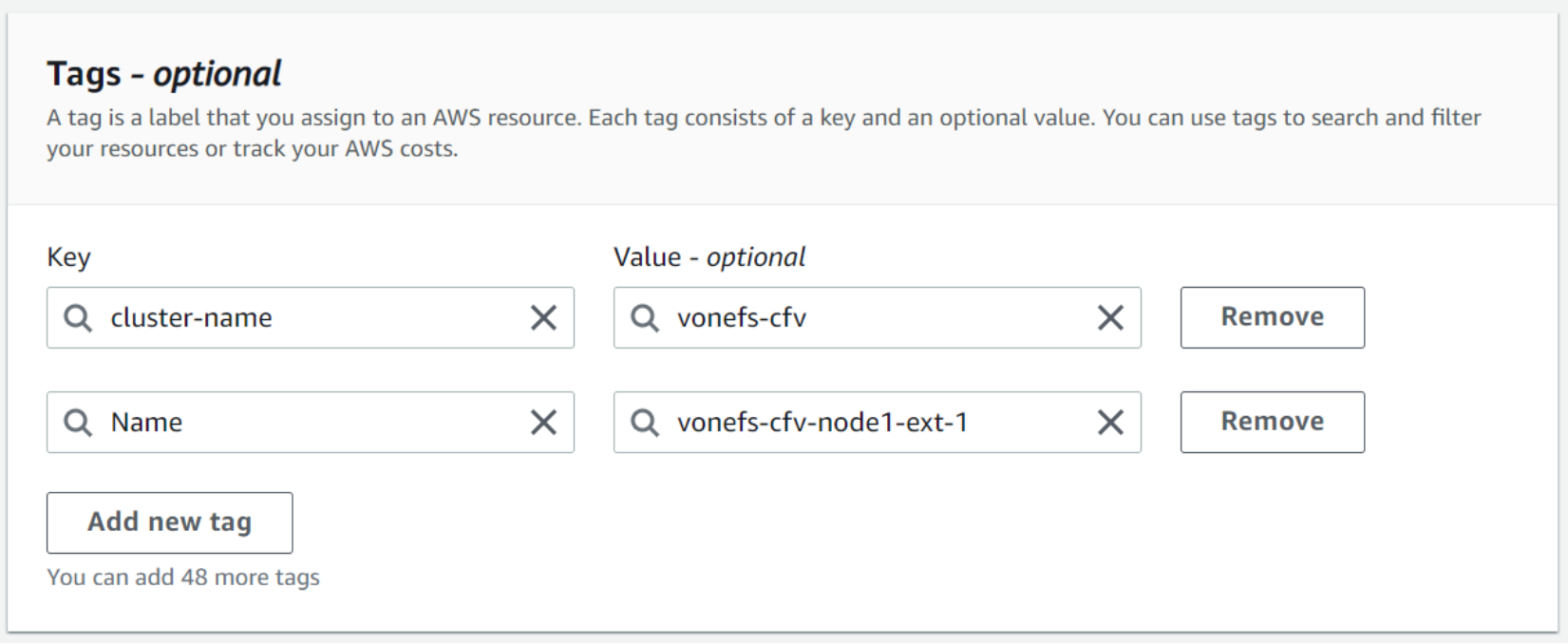 This figure shows the Tags for first node's external interface.