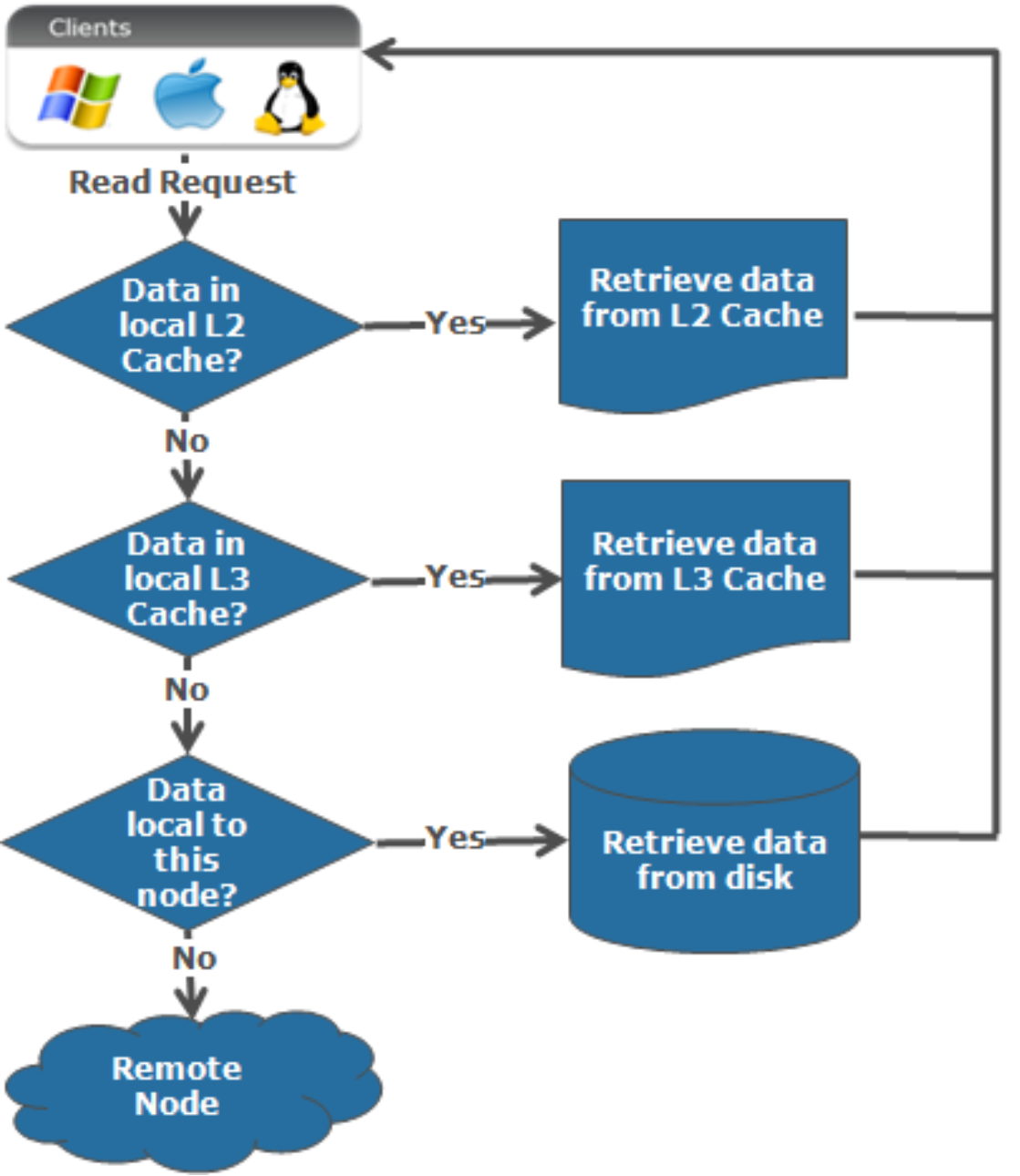 Flow chart graphic showing the read process on a local node.