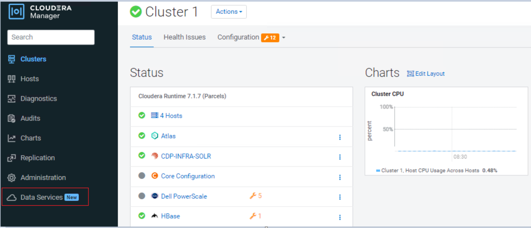 Click the Data Services link from the Cloudera Manager UI to install a Data Services cluster