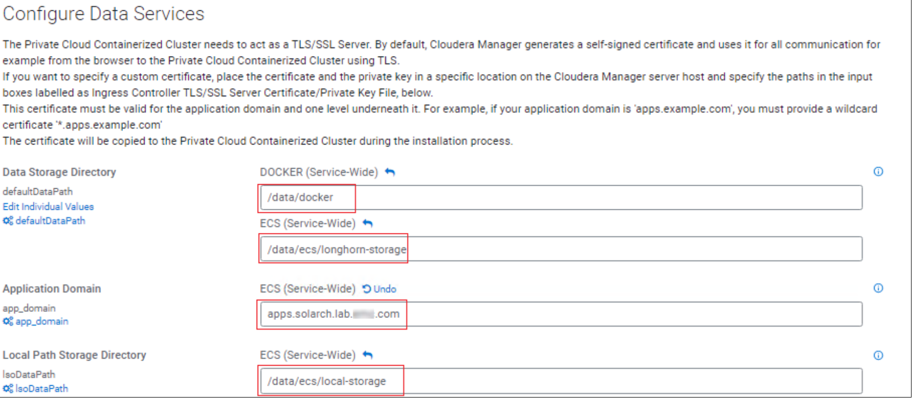 Configure the Data Services by specifying the storage directories and application domain