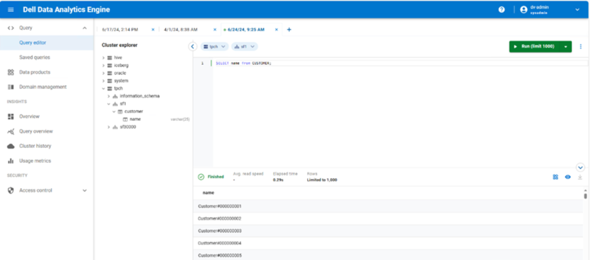 Screenshot of query editor of Dell data analytics engine to verify privacera policy.