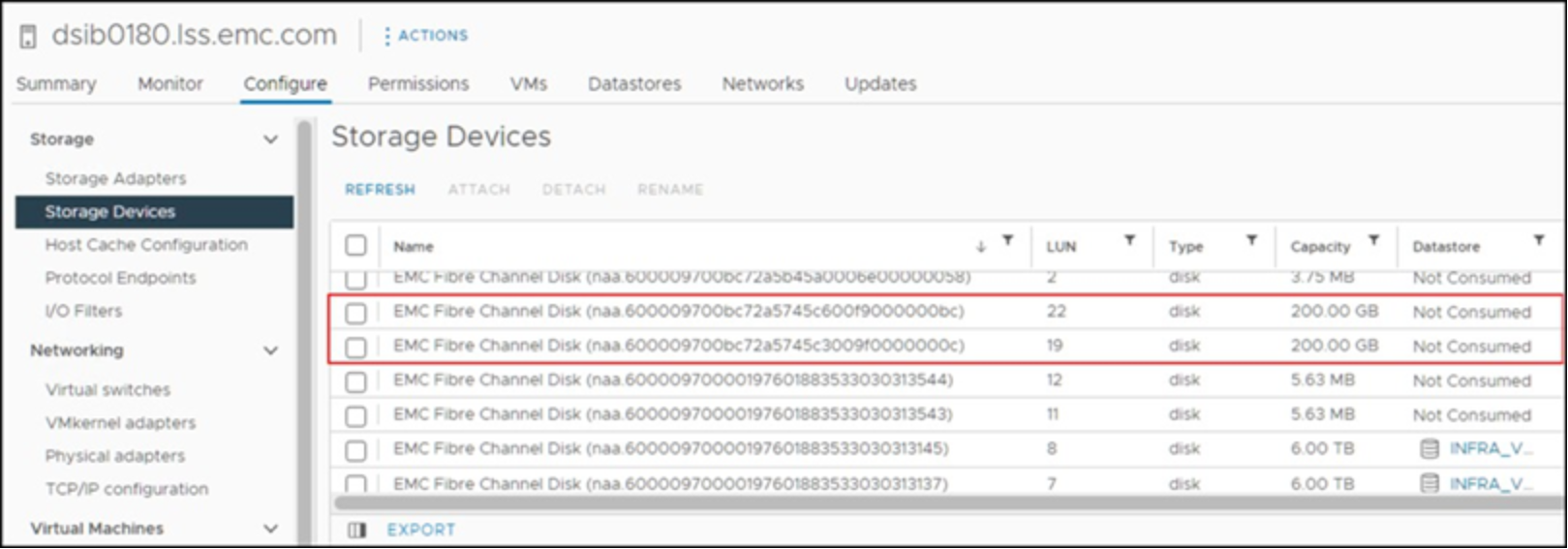 ESXi storage devices displaying two duplicate volumes presented to the cluster 