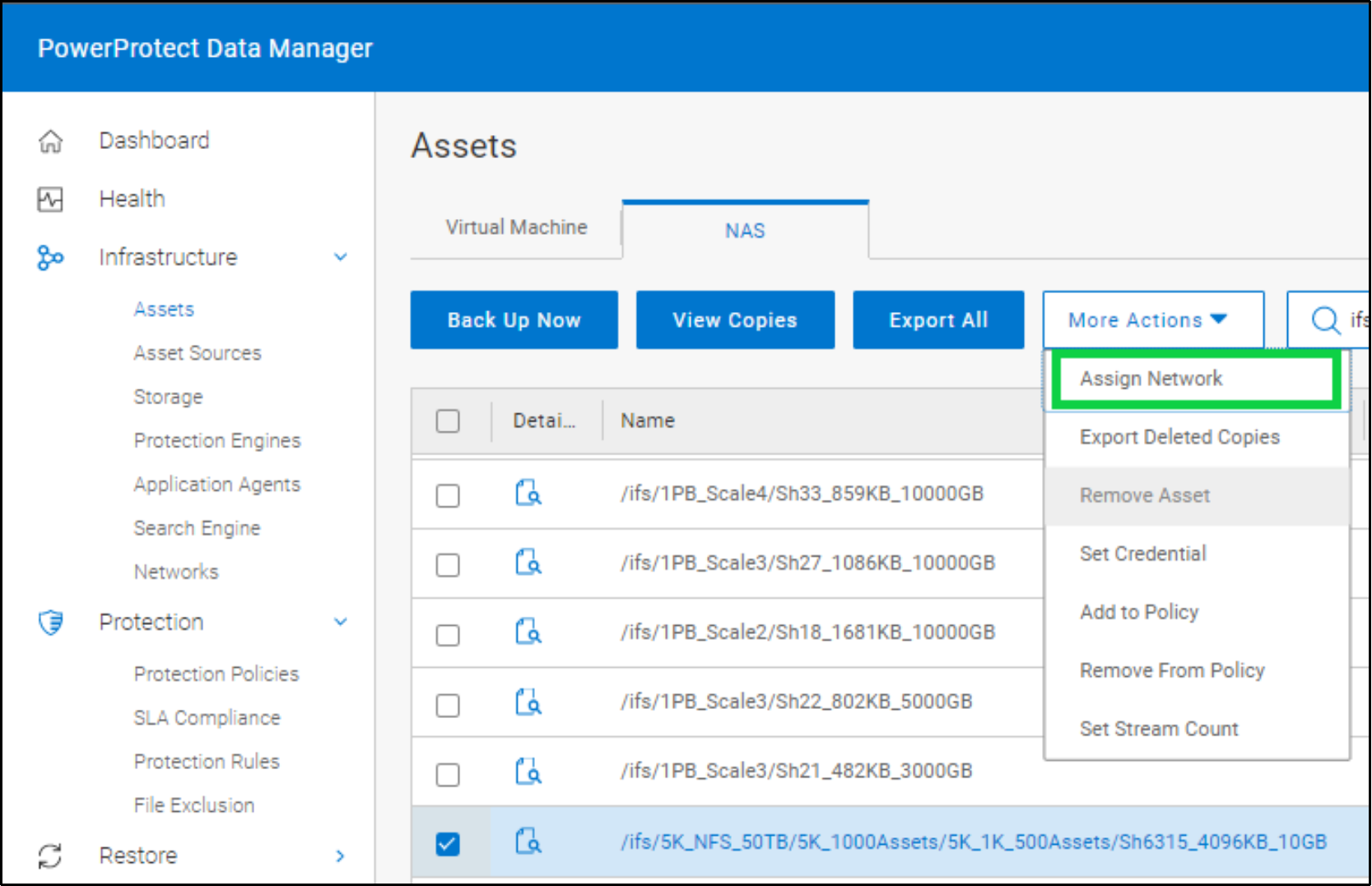 Screenshot of Data manager Asset section showing the Assign Network option to select the required IPv6 interface.