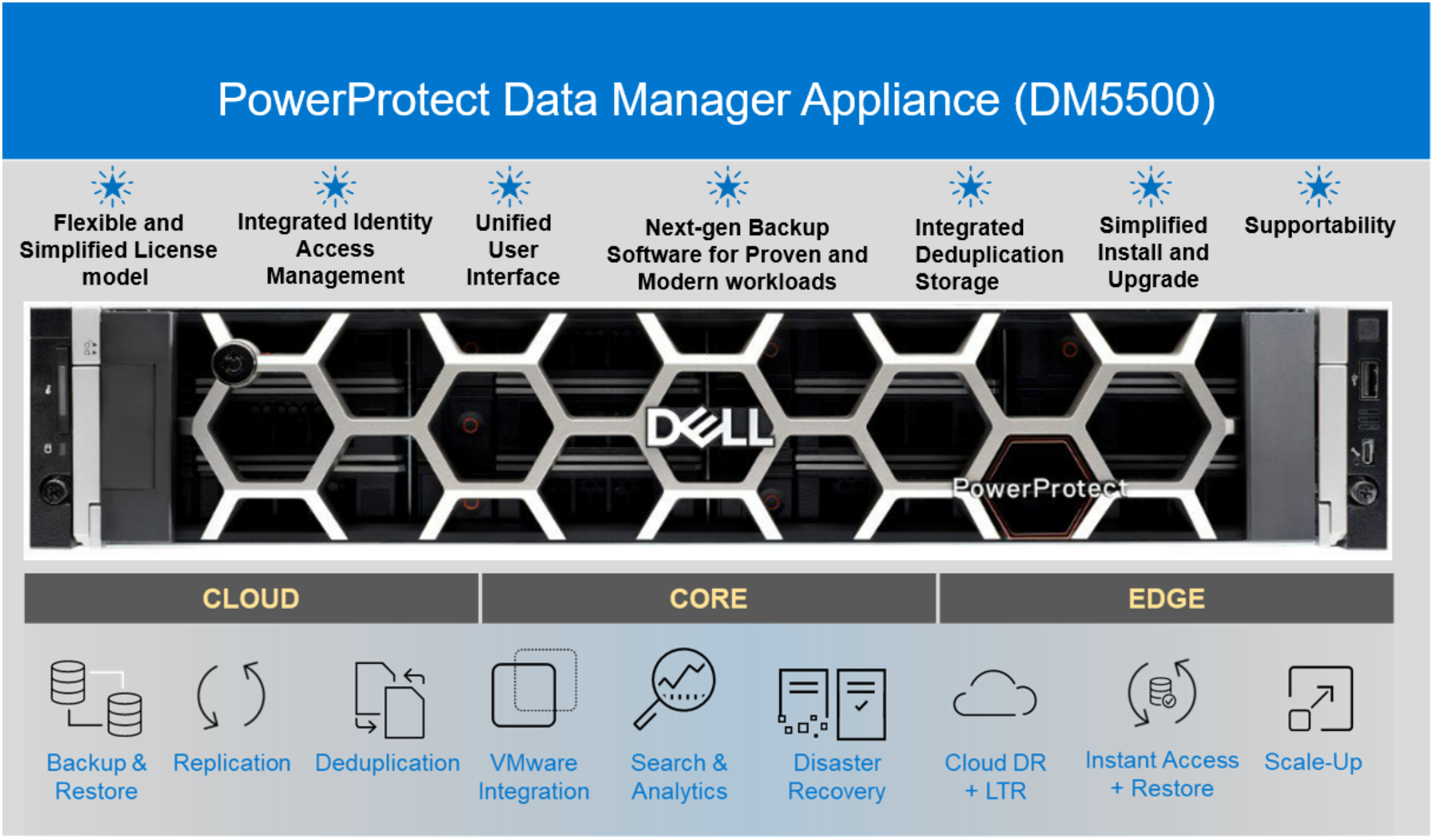 The image shows the Data Manager appliance features.