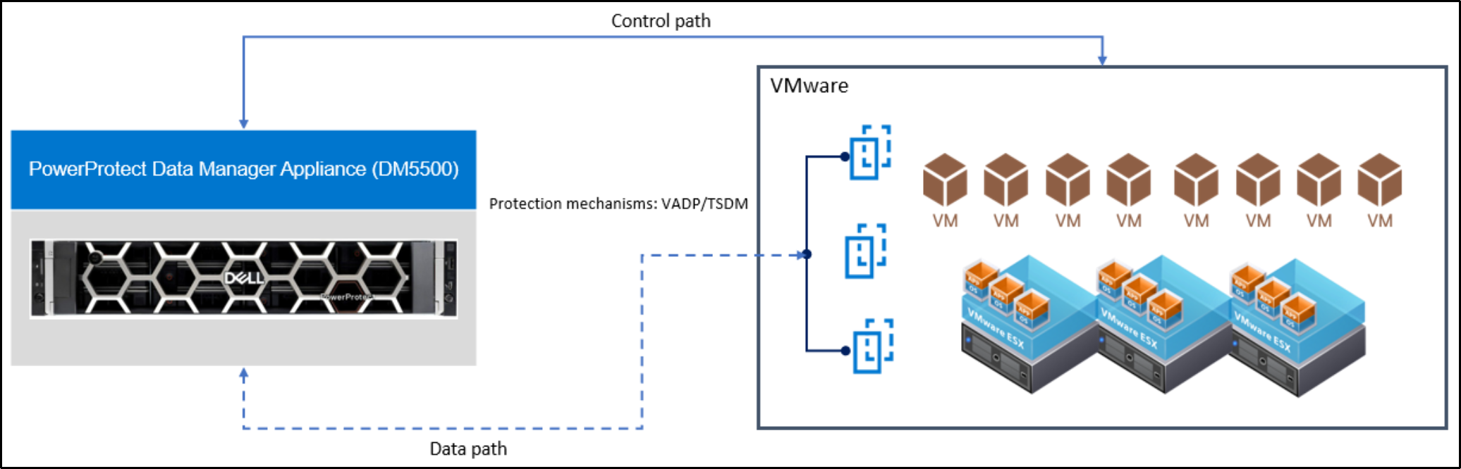 The image shows VM protection with the Data Manager Appliance