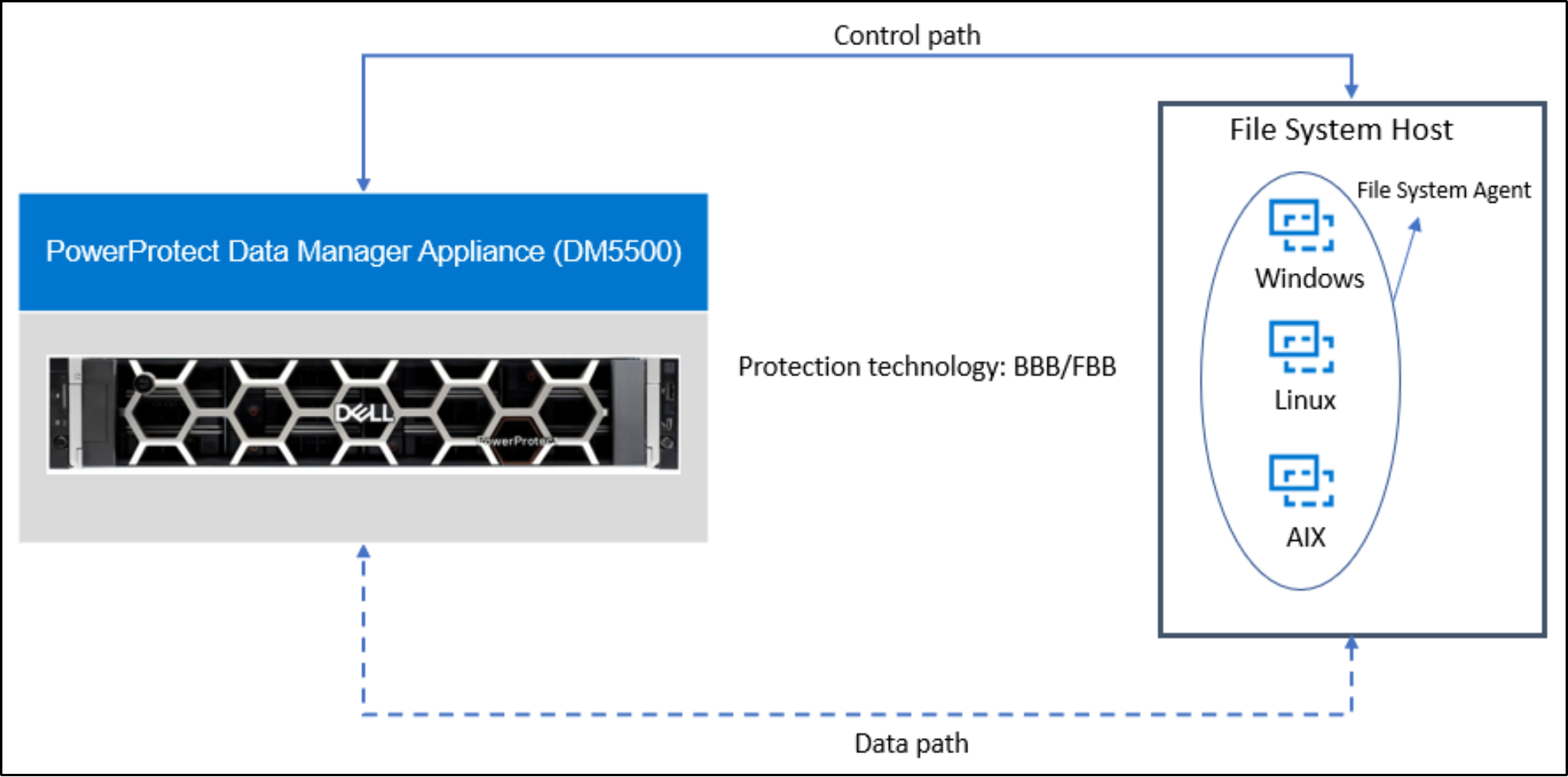 The image shows the File system protection with the Data Manager Appliance