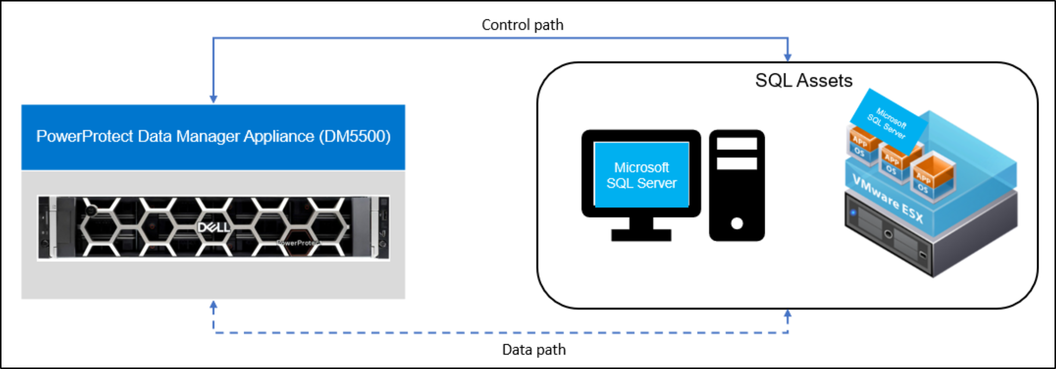 The image shows SQL server database protection with the Data Manager Appliance