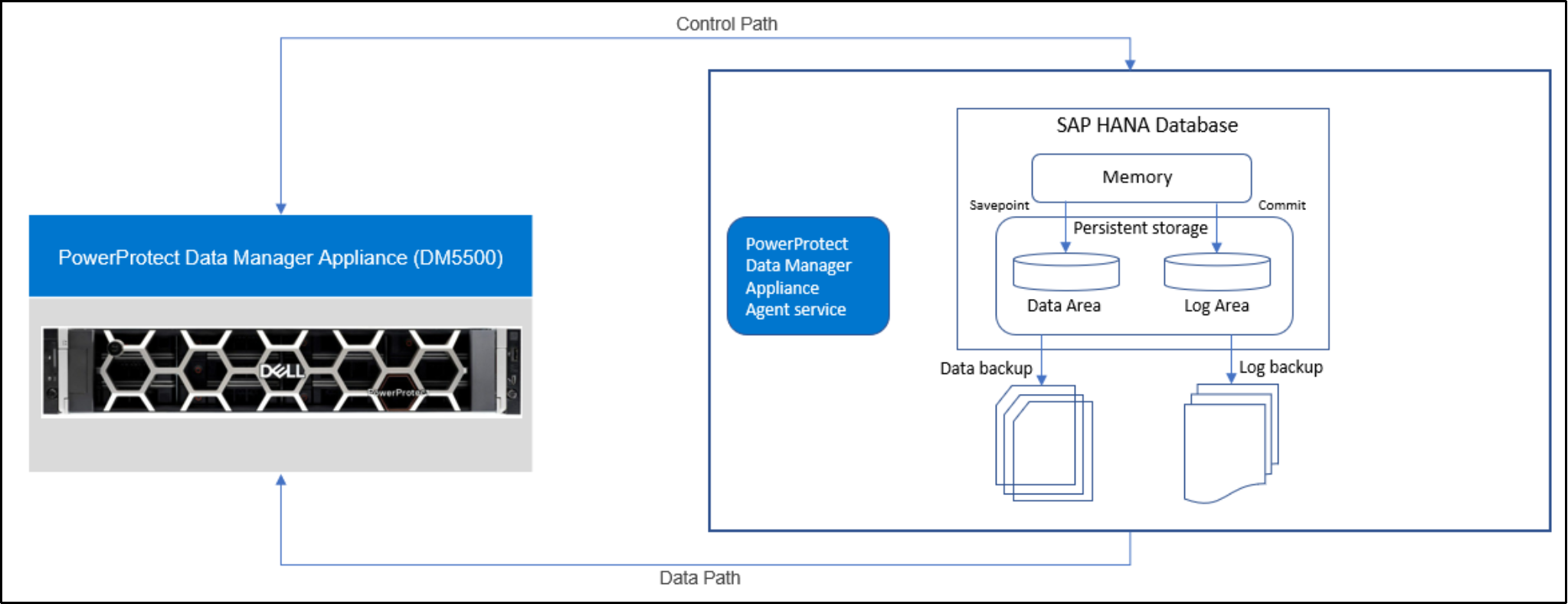 The image shows SAP HANA database protection with the Data Manager Appliance