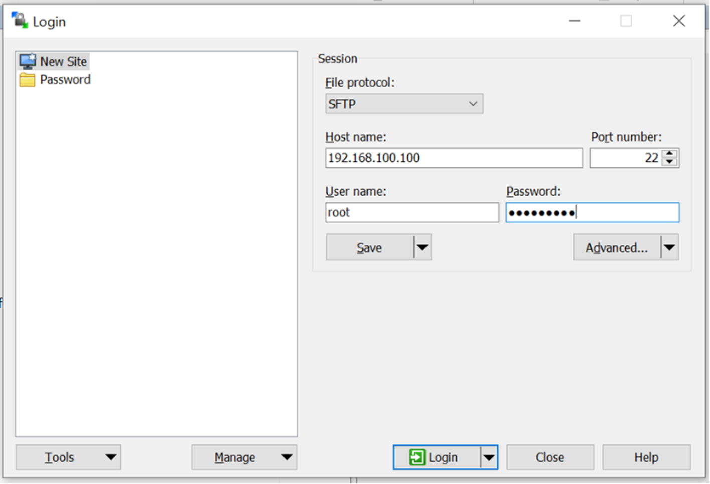 This image shows a sample WinSCP session configuration window.