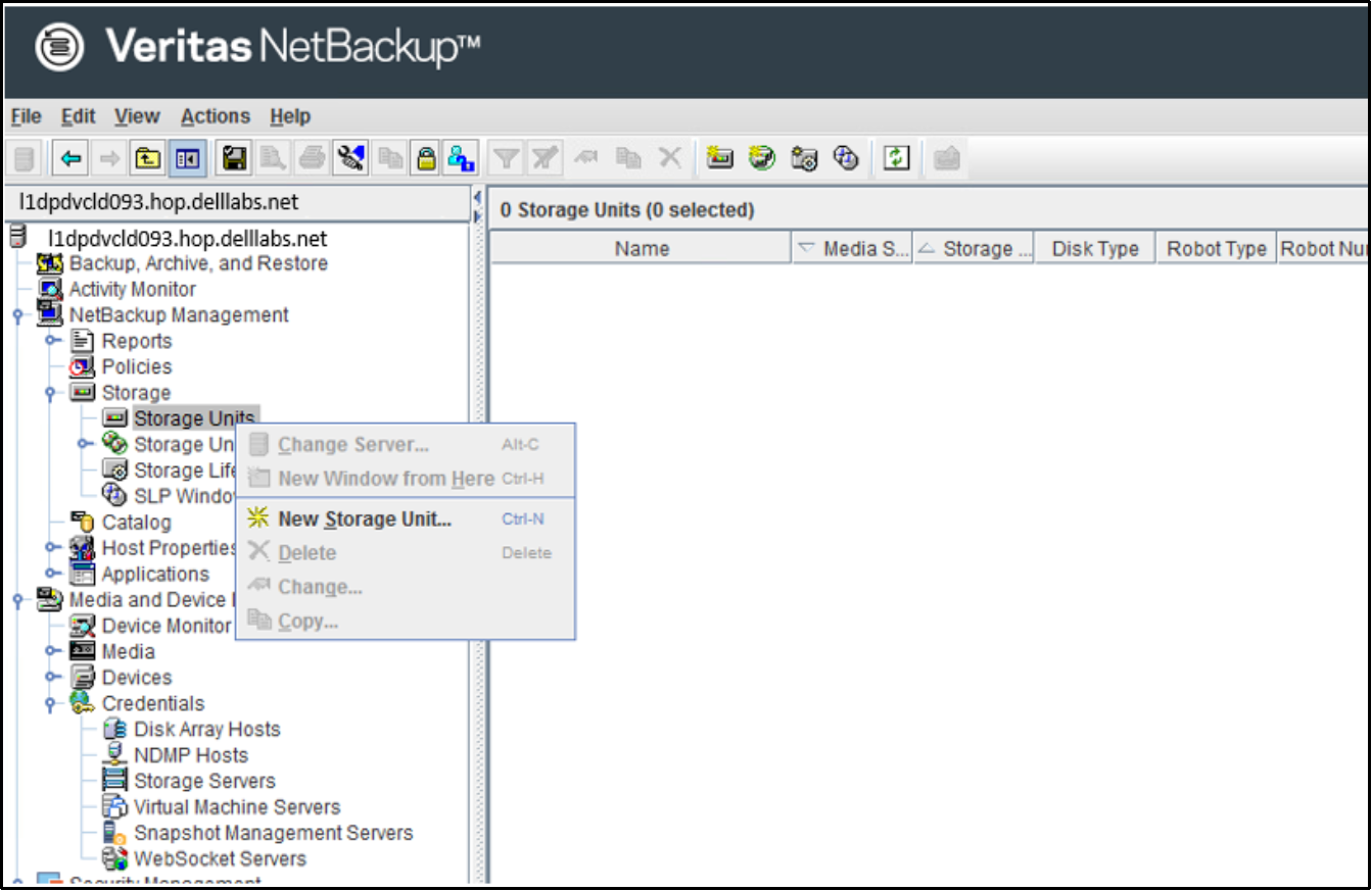 This image shows the option to create and configuring BasicDisk storage unit