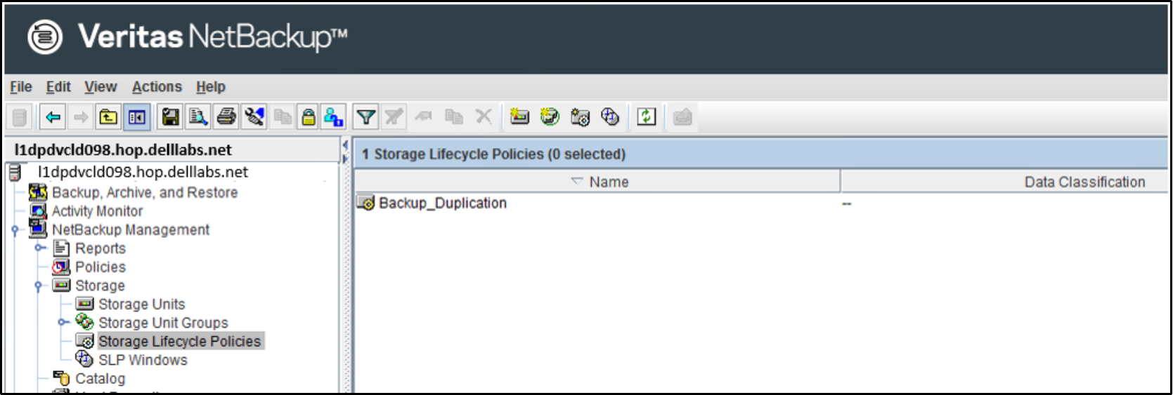 The image shows the SLP is ready for for performing backup and duplication.
