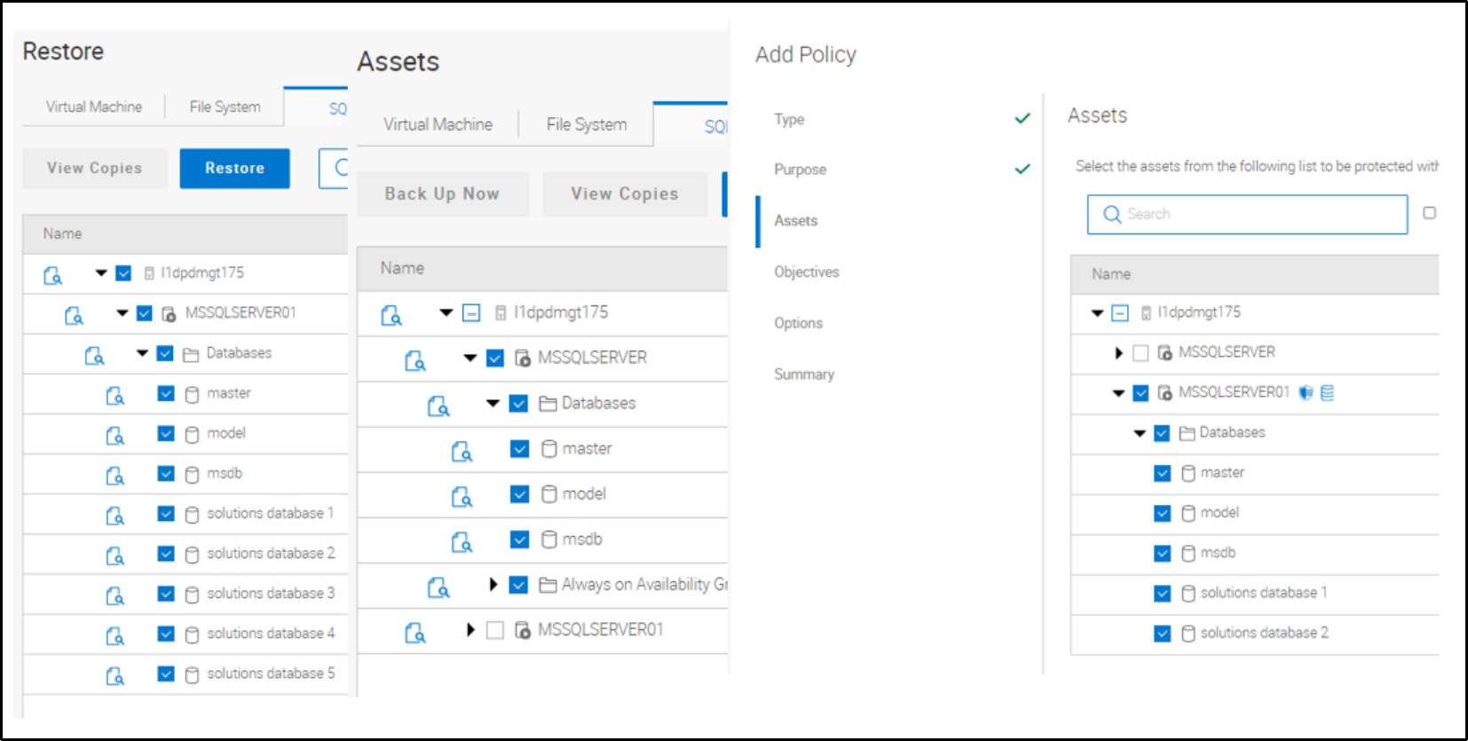 The image shows the native assets view for SQL assets.