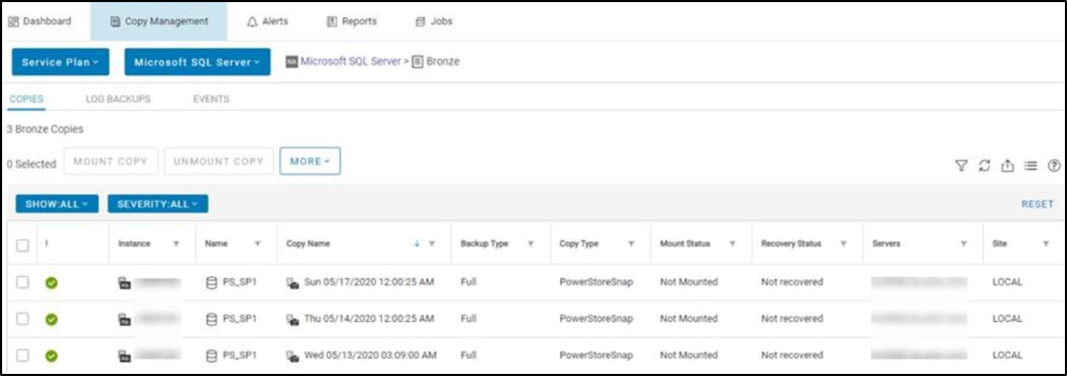 This shows the service plan copies tab or pane. 