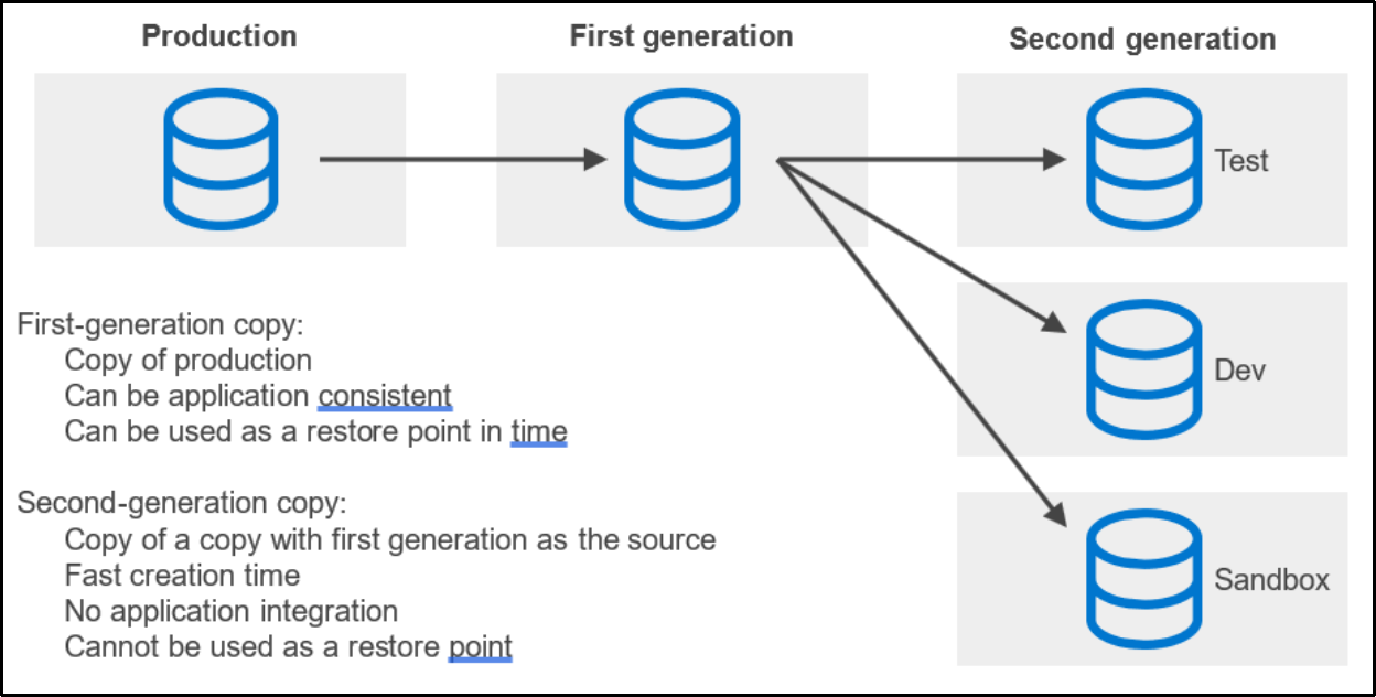 This shows a diagram of repurposing with multigenerational copies. 