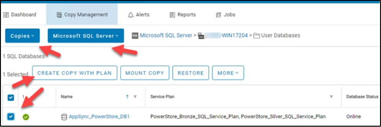 This shows the configuration of a repurposing workflow for a SQL Server database. 