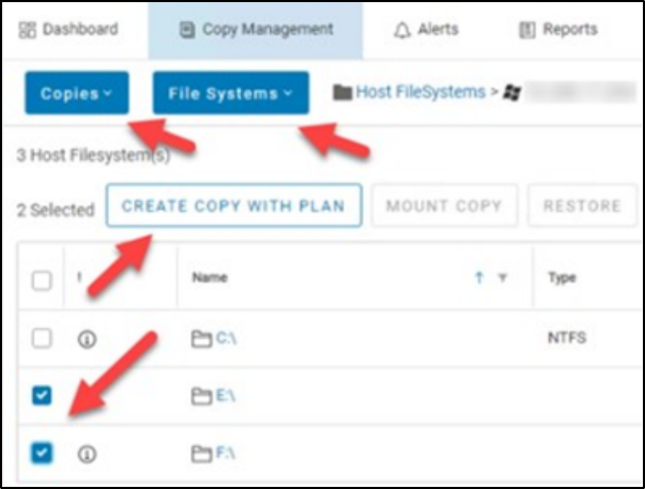 This shows creating a repurposed copy for file systems. 