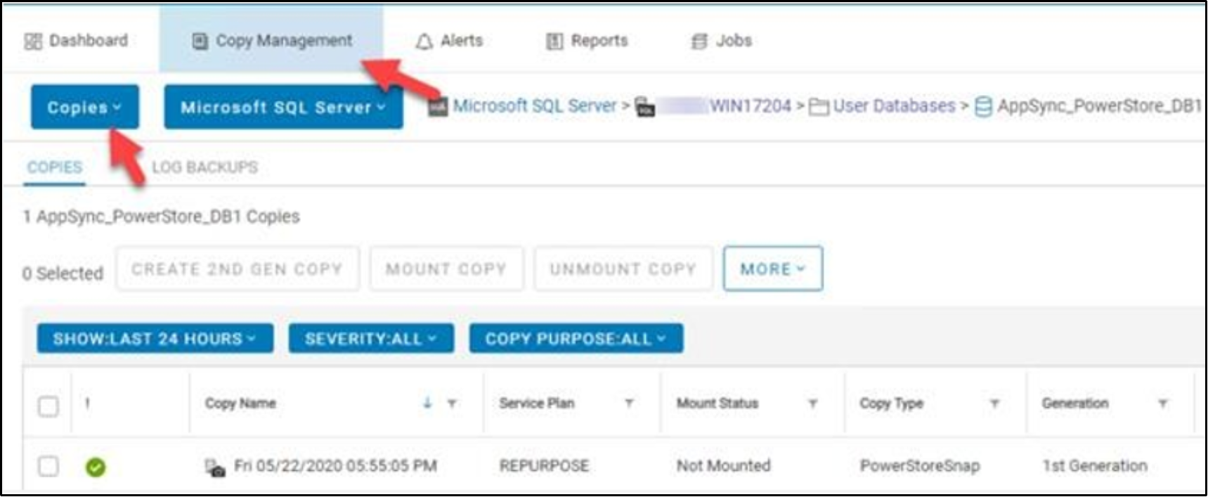 This shows the copy management repurposed copies list in AppSync.