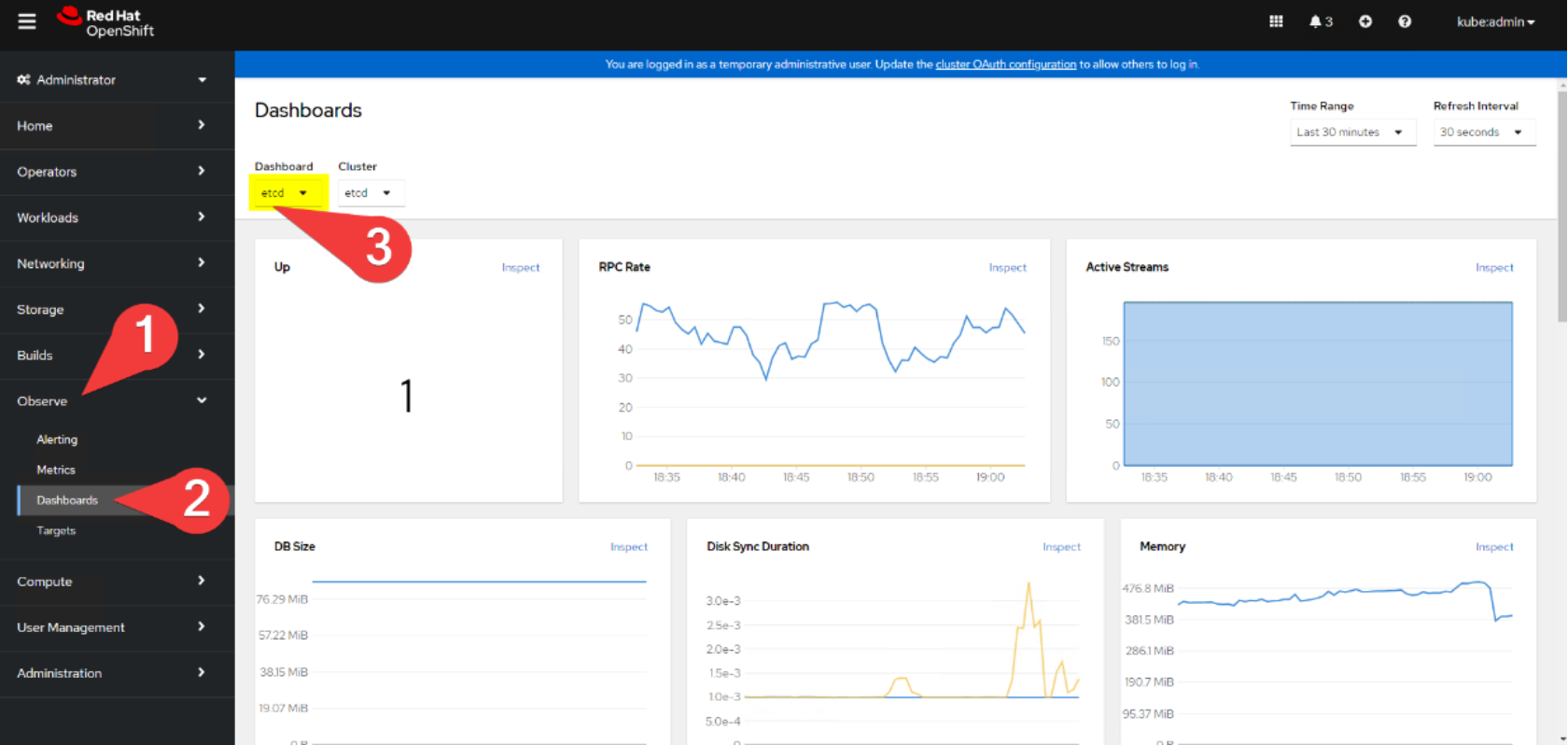 A screenshot showing a cluster dashboard example