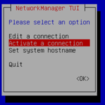 OMNI Network Manager TUI Activate a connection screen