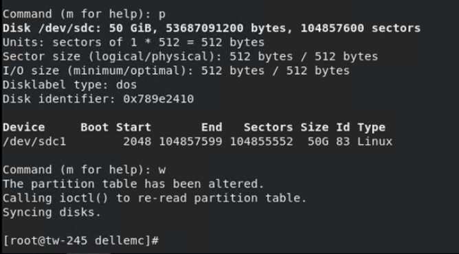 Commands and outputs when partitioning log disk
