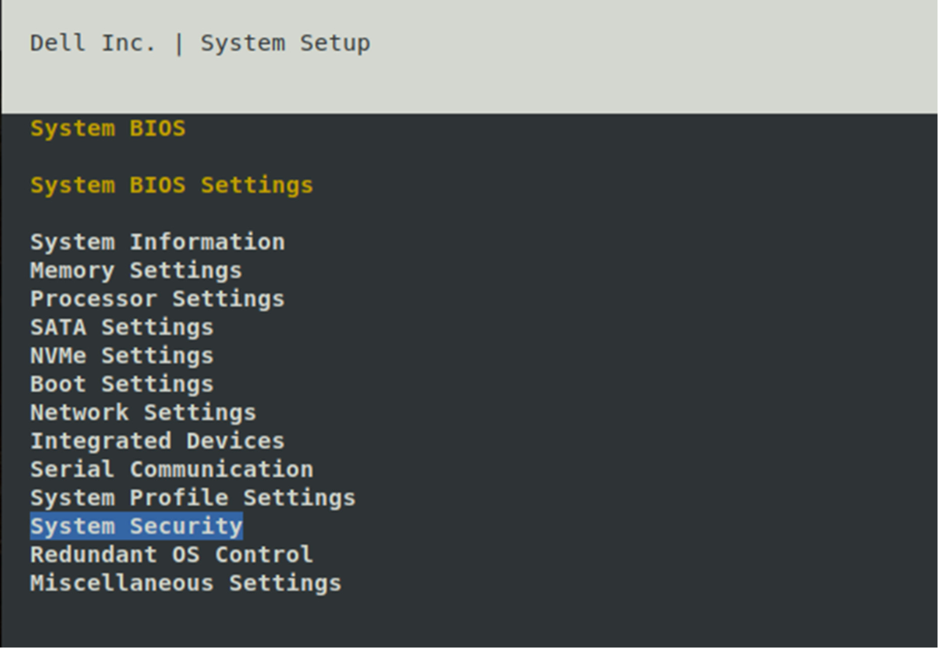 A figure illustrating the BIOS System Setup