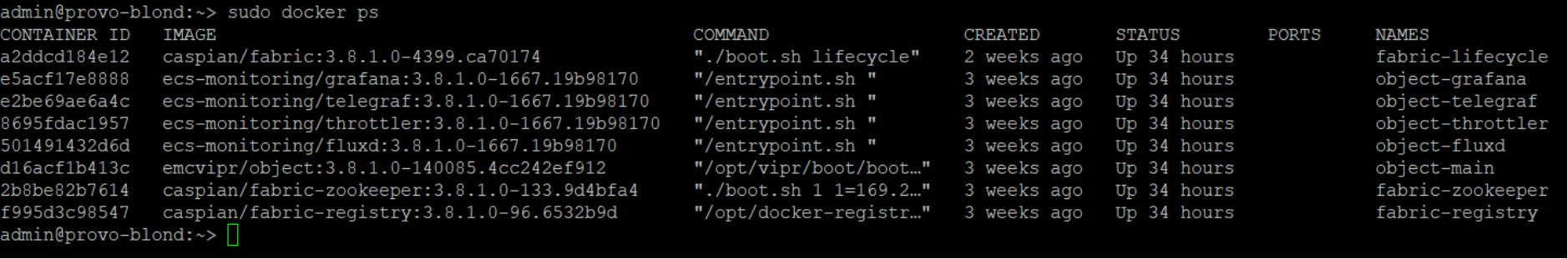 The following figure shows command line output of the docker ps command on a node which shows the four containers used by ECS inside Docker. A listing is shown with all the object-related services available on the system.