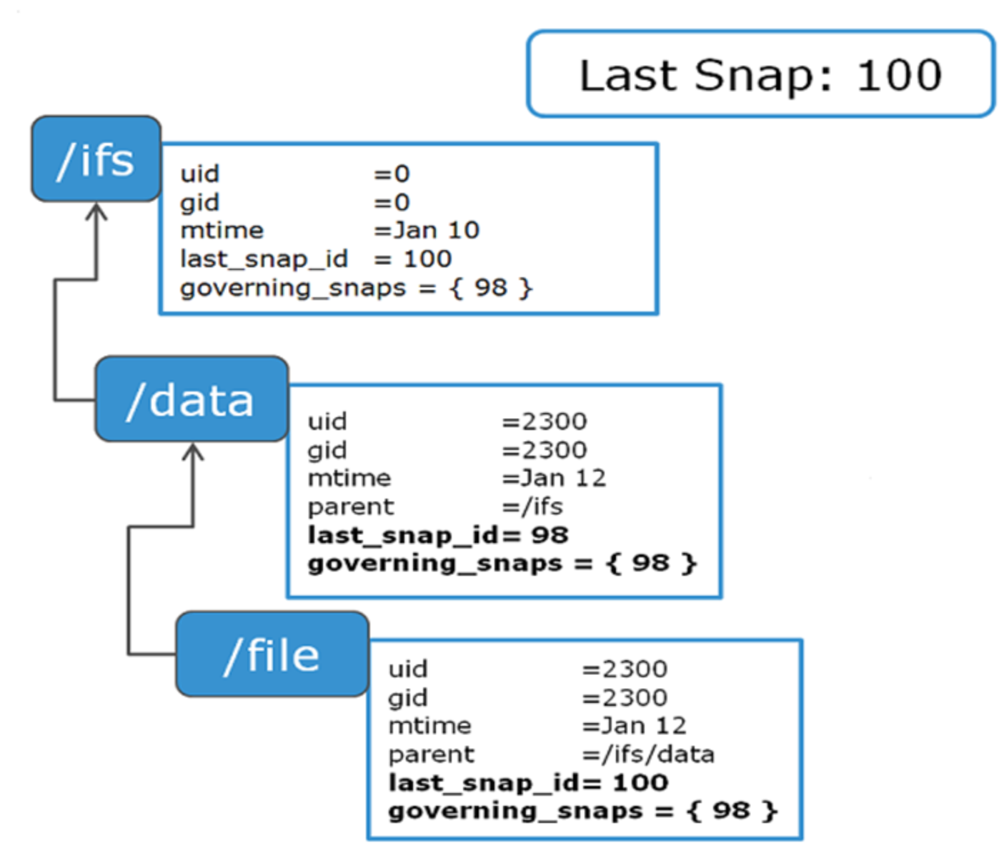 Graphic demonstrating SnapshotIQ's painting algorithm.