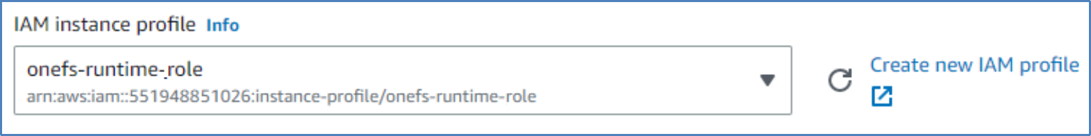 This figure shows how to add the instance profile.