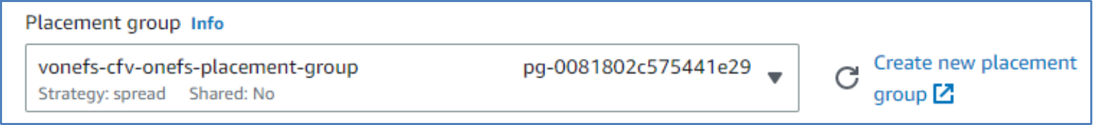 This figure shows how to add the placement group.