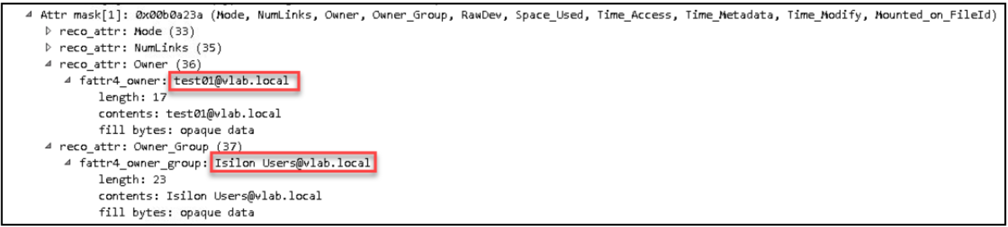 This figure shows the identity format of NFSv4.