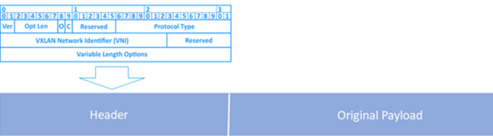 This figure shows the NSX extended frames supported by VCF.