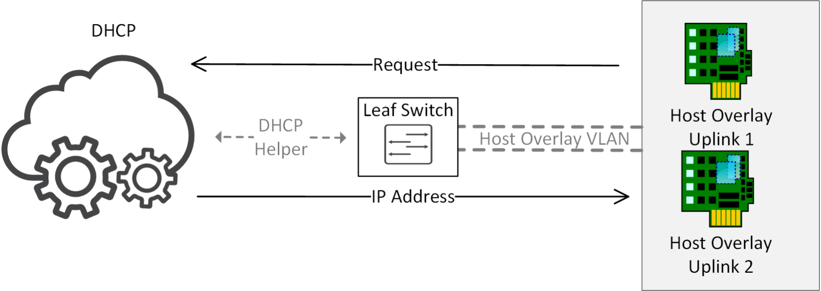 This figure shows how DHCP services are connected to host overlay VLAN.
