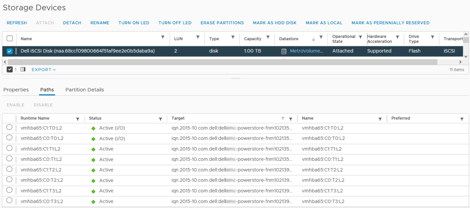 vSphere Client storage device list with one device selected and all of its paths shown