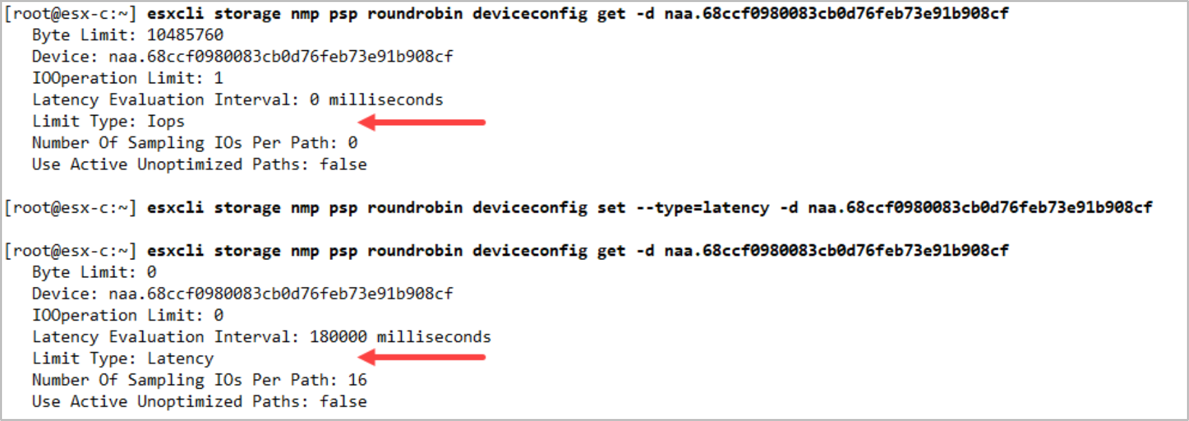 VMware esxcli command line output