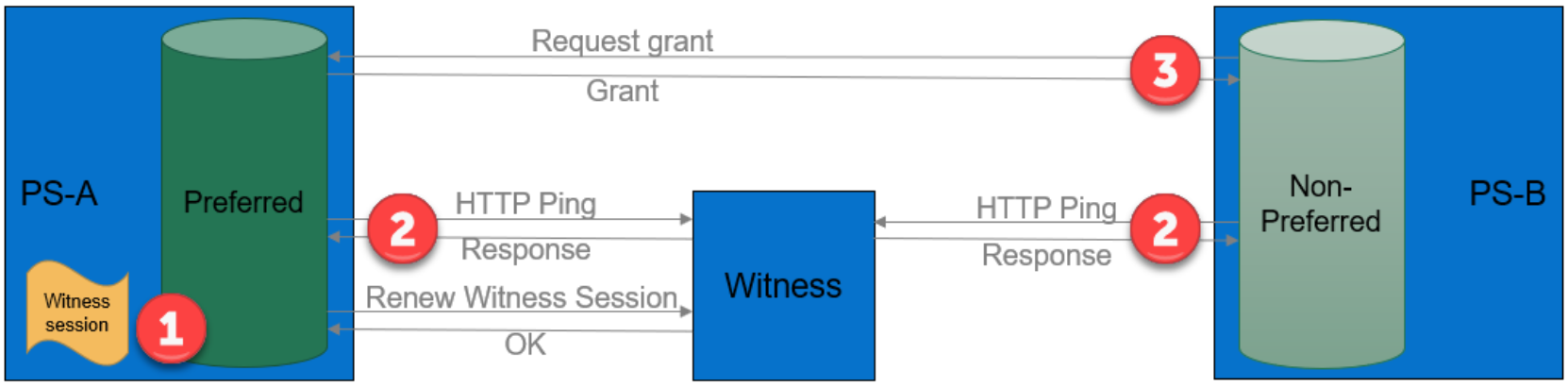 Healthy communication flow between preferred, non-preferred, and witness