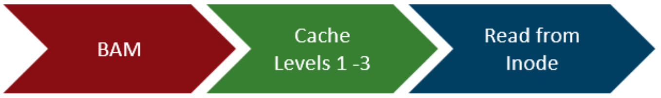 Graphic showing the inline inode read path: BAM > Cache Levels 1-3 > Read from inode.