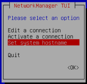 Set system hostname selected