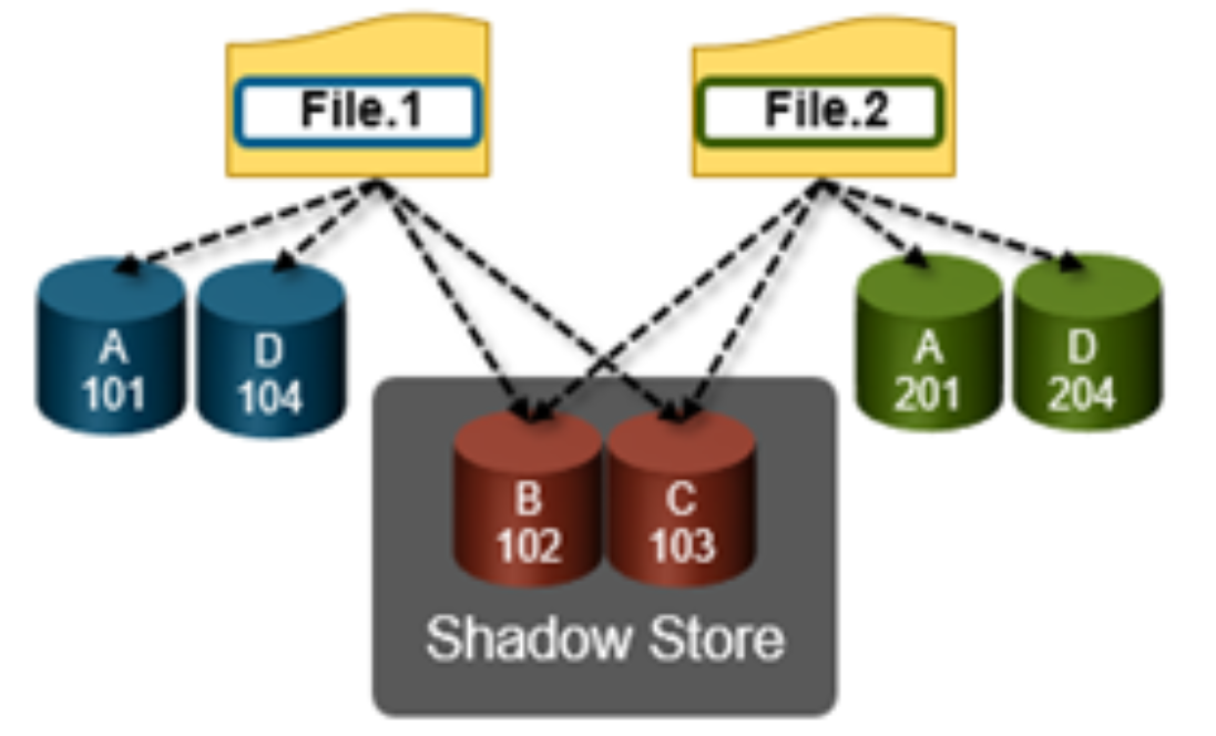 Graphic illustrating OneFS duplicate block sharing using shadow stores. 