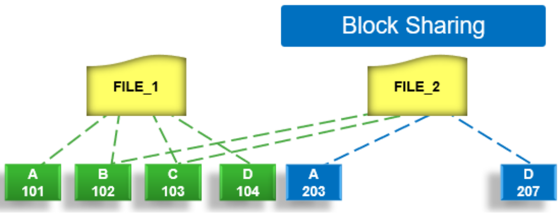Graphic showing the SmartDedupe job's block sharing phase.